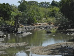 Western_Corridor_(Kirawira)2003-074